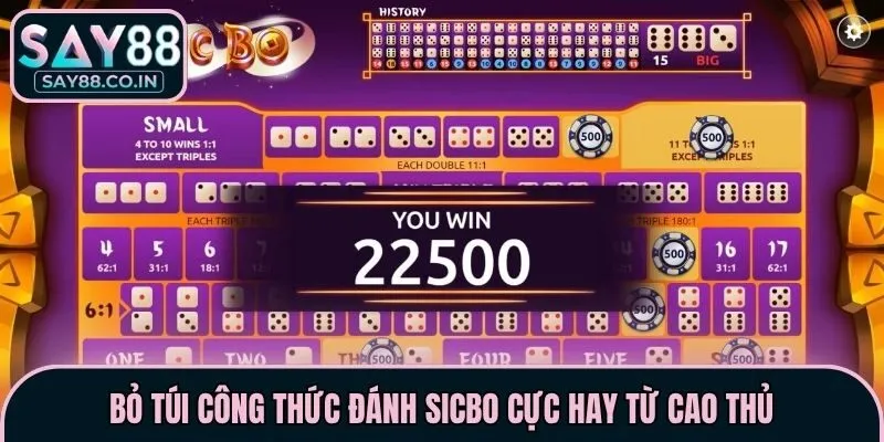 Bỏ túi công thức đánh sicbo cực hay từ cao thủ