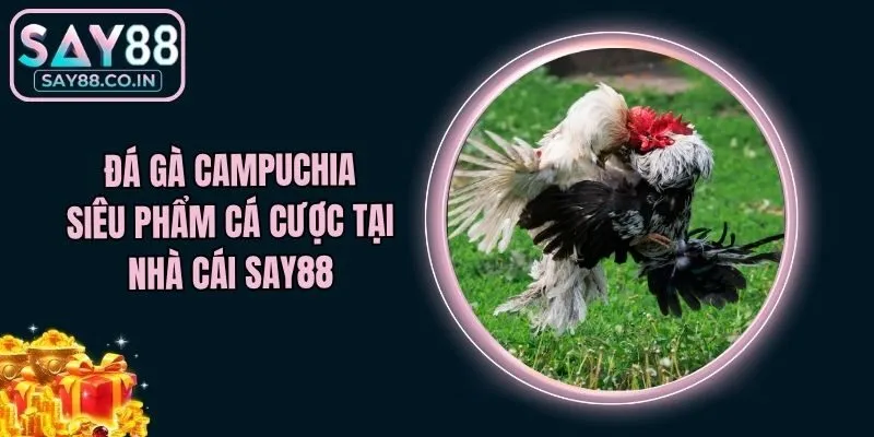Đá Gà Campuchia - Siêu Phẩm Cá Cược Tại Nhà Cái Say88