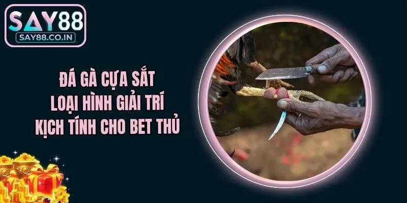 Đá Gà Cựa Sắt - Loại Hình Giải Trí Kịch Tính Cho Bet Thủ