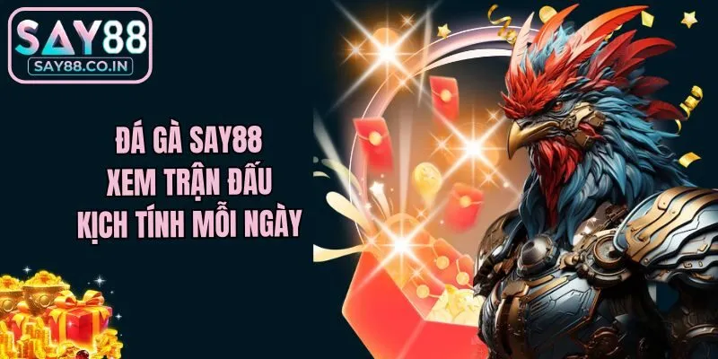 Đá gà Say88 - Xem trận đấu kịch tính mỗi ngày