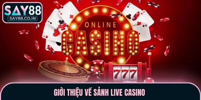 Giới thiệu về sảnh live casino 