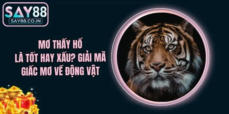 Mơ Thấy Hổ Là Tốt Hay Xấu? Giải Mã Giấc Mơ Về Động Vật