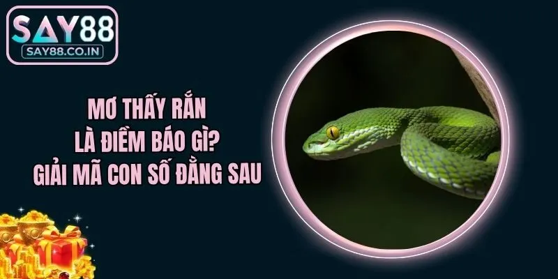 Mơ Thấy Rắn Là Điềm Báo Gì? Giải Mã Con Số Đằng Sau