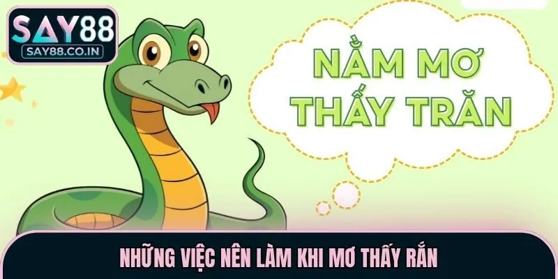 Những việc nên làm khi mơ thấy rắn