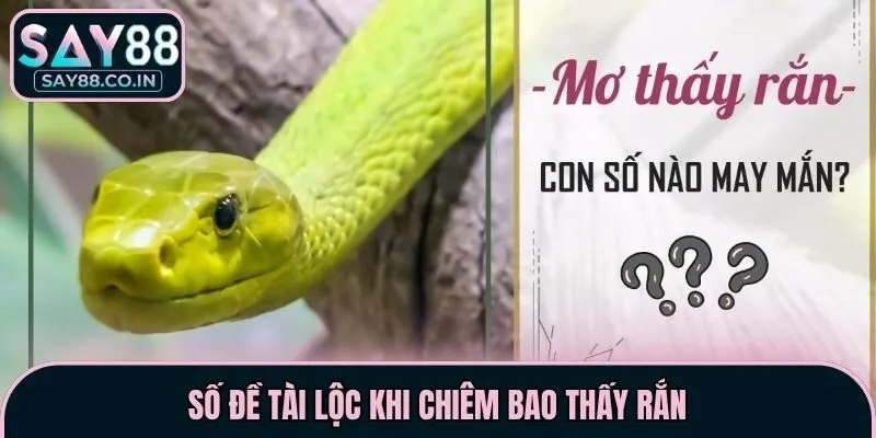 Số đề tài lộc khi chiêm bao thấy rắn
