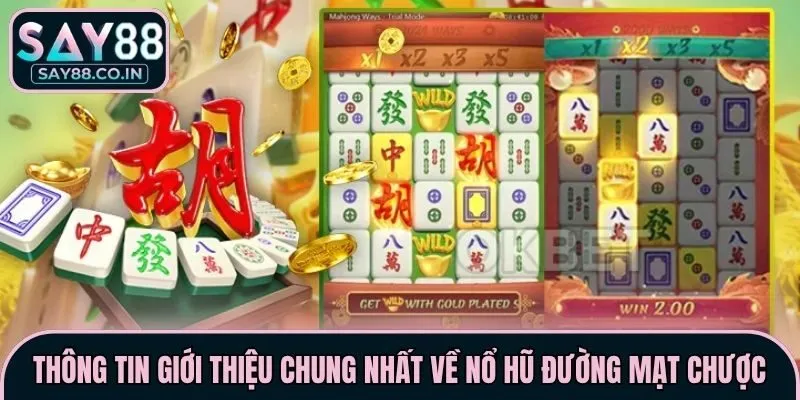 Thông tin giới thiệu chung nhất về nổ hũ Đường Mạt Chược