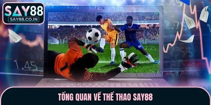 Tổng quan về thể thao Say88